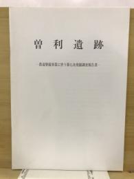 曽利遺跡 : 農林漁業用揮発油税財源身替農道整備事業に伴う緊急発掘調査報告書