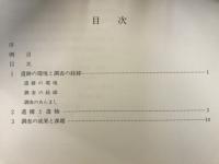 曽利遺跡 : 農林漁業用揮発油税財源身替農道整備事業に伴う緊急発掘調査報告書