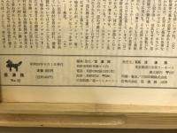 特集信濃路