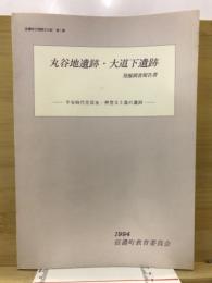 丸谷地遺跡・大道下遺跡発掘調査報告書 : 平安時代住居址・押型文土器の遺跡