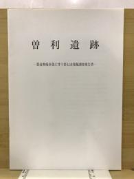 曽利遺跡 : 農林漁業用揮発油税財源身替農道整備事業に伴う緊急発掘調査報告書