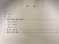 曽利遺跡 : 農林漁業用揮発油税財源身替農道整備事業に伴う緊急発掘調査報告書