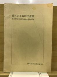 砂川先土器時代遺跡 : 埼玉県所沢市砂川遺跡の第2次調査