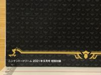 ゼルダの伝説　ARTWORK COLLECTION　3　ニンテンドードリーム2021年9月号附録
