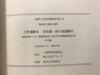 上野遺跡Ⅱ奈免羅・西の前遺跡Ⅳ