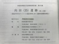 向田(35)遺跡