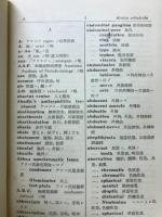 新歯科辞典 : 英羅和訳