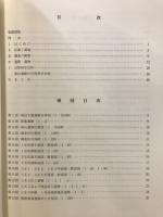 南山遺跡 : 県道羽出庭三良坂線改良工事に伴う発掘調査報告書