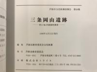 三条岡山遺跡 : 第11地点発掘調査概要