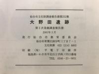 大野田遺跡 : 発掘調査報告書