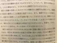 野球