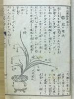 諸流秘伝生花独稽古