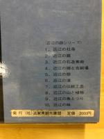 近江の顔