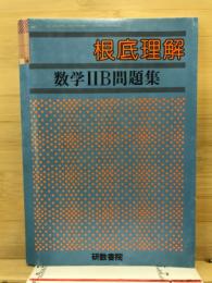 根底理解　数学2B問題集
