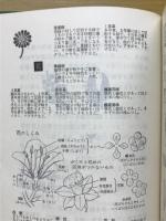 牧野日本植物図鑑 : 学生版