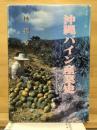 沖縄パイン産業史
