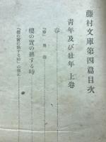 青年及び壮年