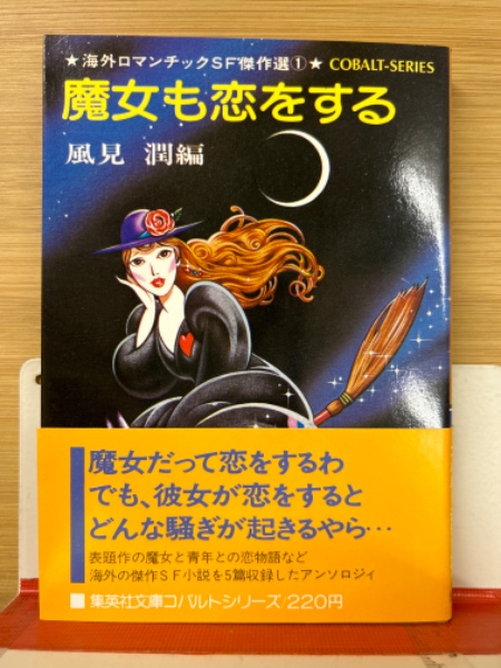 華麗なる美の殿堂 世界の美術館 9巻DVD18枚+解説書 全10巻揃(前川誠郎