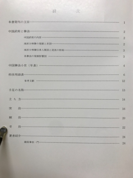 中国拳法大講座「形意拳道」