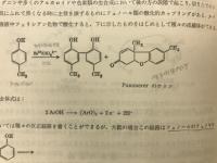 天然物化学