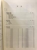 川原田遺跡 : 長野県北佐久郡御代田町川原田遺跡発掘調査報告書