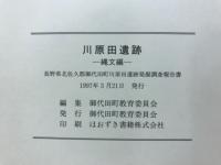 川原田遺跡 : 長野県北佐久郡御代田町川原田遺跡発掘調査報告書