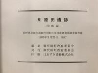 川原田遺跡 : 長野県北佐久郡御代田町川原田遺跡発掘調査報告書