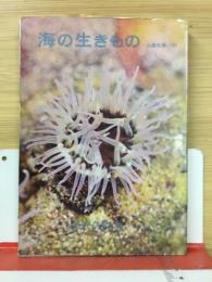 海の生きもの