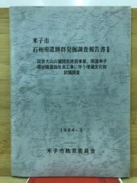 米子市石州府遺跡群発掘調査報告書