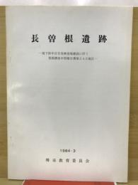 長曽根遺跡 : 地下鉄中百舌鳥検査場建設に伴う発掘調査中間報告書第2.4.5地区