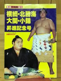 相撲　1987年7月号増刊