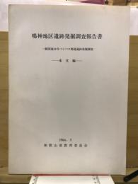 鳴神地区遺跡発掘調査報告書 : 一般国道24号バイパス関連遺跡発掘調査