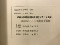 鳴神地区遺跡発掘調査報告書 : 一般国道24号バイパス関連遺跡発掘調査