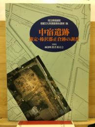 中宿遺跡 : 推定・榛沢郡正倉跡の調査