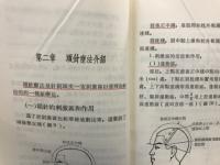 簡明頭針療法