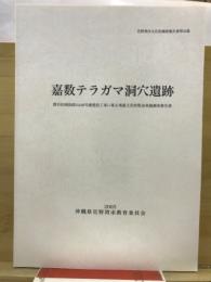 嘉数テラガマ洞穴遺跡 : 都市計画街路3-4-66号線建設工事に係る埋蔵文化財緊急発掘調査報告書