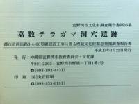 嘉数テラガマ洞穴遺跡 : 都市計画街路3-4-66号線建設工事に係る埋蔵文化財緊急発掘調査報告書