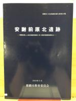 安謝前原北遺跡