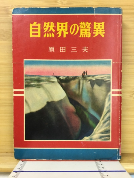 大図録日本の蝶（特大原色図版欠）(猪又敏男 編著 ; 池田真澄