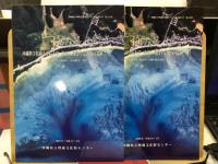 沖縄科学技術大学院大学(仮称)建設予定地内の遺跡 : 埋蔵文化財予備調査報告