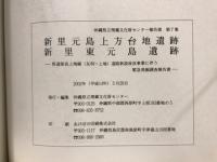 新里元島上方台地遺跡・新里東元島遺跡