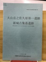 大山岳之佐久原第一遺跡・新城古集落遺跡 : 陸軍送油管新設工事に係る普天間飛行場内の文化財緊急発掘調査