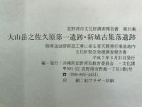 大山岳之佐久原第一遺跡・新城古集落遺跡 : 陸軍送油管新設工事に係る普天間飛行場内の文化財緊急発掘調査