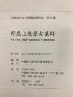 野嵩上後原古墓群