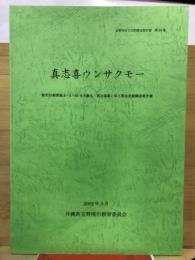 真志喜ウンサクモー : 都市計画街路3-4-63号大謝名・真志喜線に係る緊急発掘調査報告書