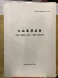 当山東原遺跡 : 市道48号線道路改良事業に伴う埋蔵文化財発掘調査