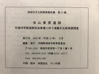 当山東原遺跡 : 市道48号線道路改良事業に伴う埋蔵文化財発掘調査