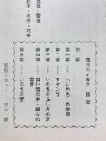 魔法のメガネ : 無双原理の世界観