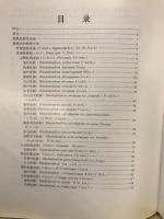 中国四川杜鵑花