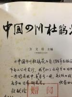 中国四川杜鵑花